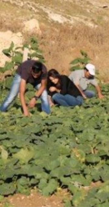 Environmental Programs